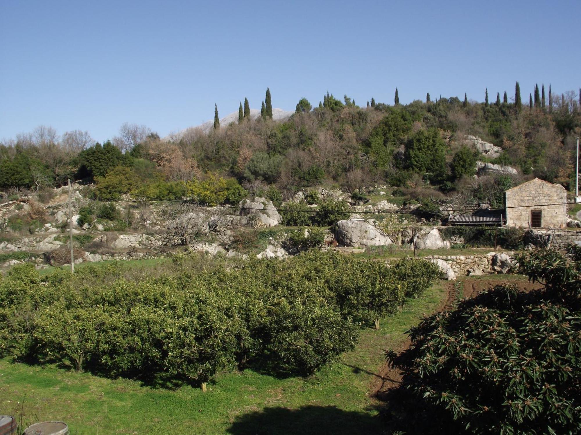 Konavle Apartments Zlatovisce Gruda Exteriör bild