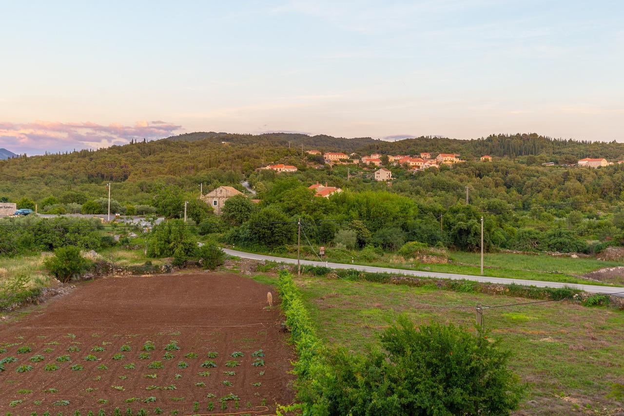 Konavle Apartments Zlatovisce Gruda Exteriör bild